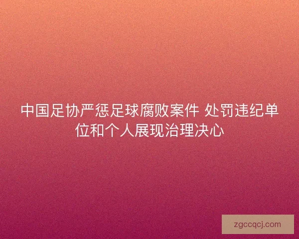 中国足协严惩足球腐败案件 处罚违纪单位和个人展现治理决心