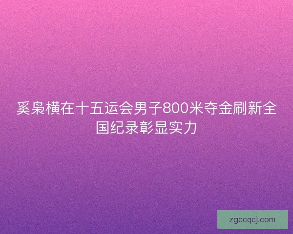 奚枭横在十五运会男子800米夺金刷新全国纪录彰显实力